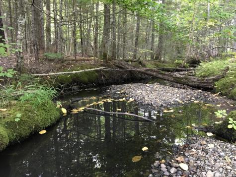 Lot 69 Cyr Road Mount Chase ME 04765