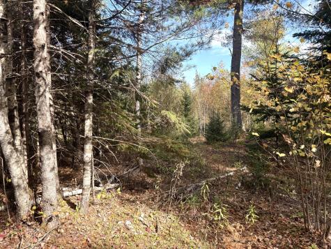 Lot 22 Off South Meadow & Roys Way Road Perry ME 04667