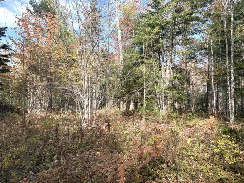 Lot 22 Off South Meadow & Roys Way Road Perry ME 04667