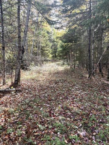 Lot 22 Off South Meadow & Roys Way Road Perry ME 04667