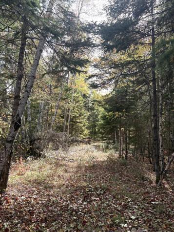 Lot 22 Off South Meadow & Roys Way Road Perry ME 04667