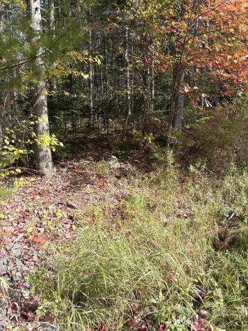 Lot 22 Off South Meadow & Roys Way Road Perry ME 04667