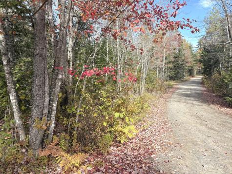 Lot 22 Off South Meadow & Roys Way Road Perry ME 04667