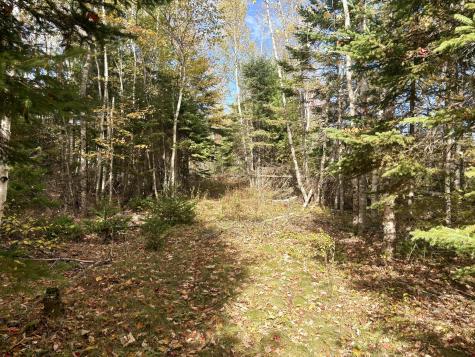 Lot 22 Off South Meadow & Roys Way Road Perry ME 04667