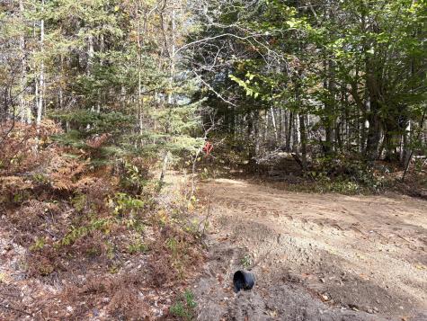 Lot 22 Off South Meadow & Roys Way Road Perry ME 04667