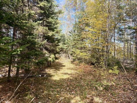 Lot 22 Off South Meadow & Roys Way Road Perry ME 04667