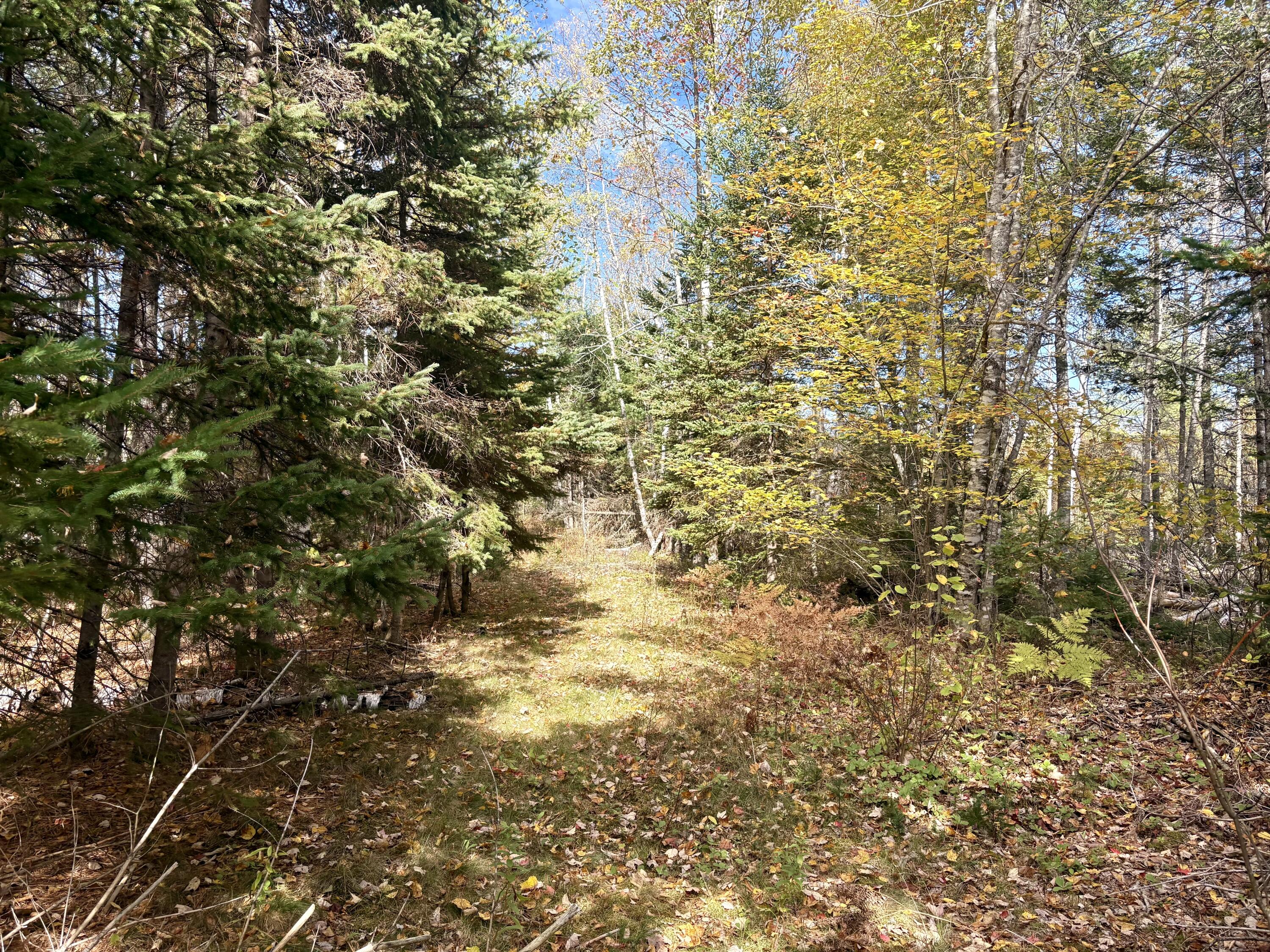 Lot 22 Off South Meadow & Roys Way Road Perry ME 04667