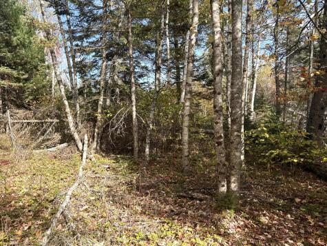 Lot 22 Off South Meadow & Roys Way Road Perry ME 04667