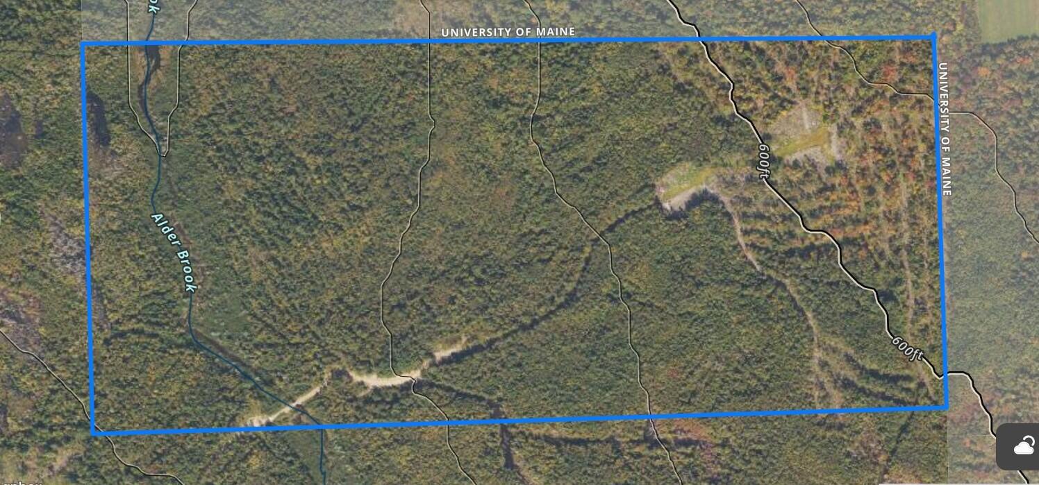 005-005-1 Grendell Road Chapman ME 04757