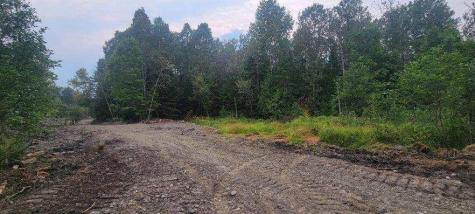 005-005-1 Grendell Road Chapman ME 04757