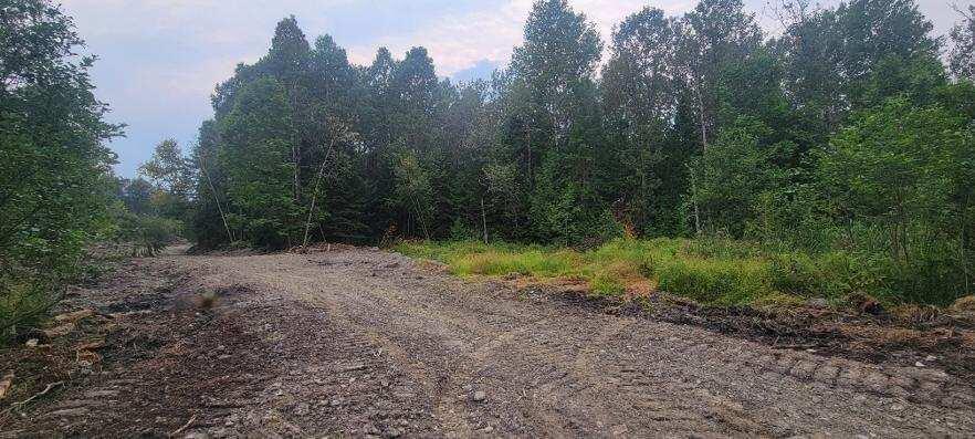 005-005-1 Grendell Road Chapman ME 04757