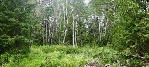 005-005-1 Grendell Road Chapman ME 04757