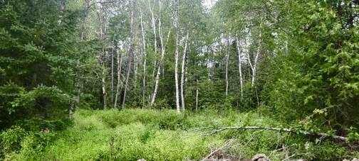 005-005-1 Grendell Road Chapman ME 04757