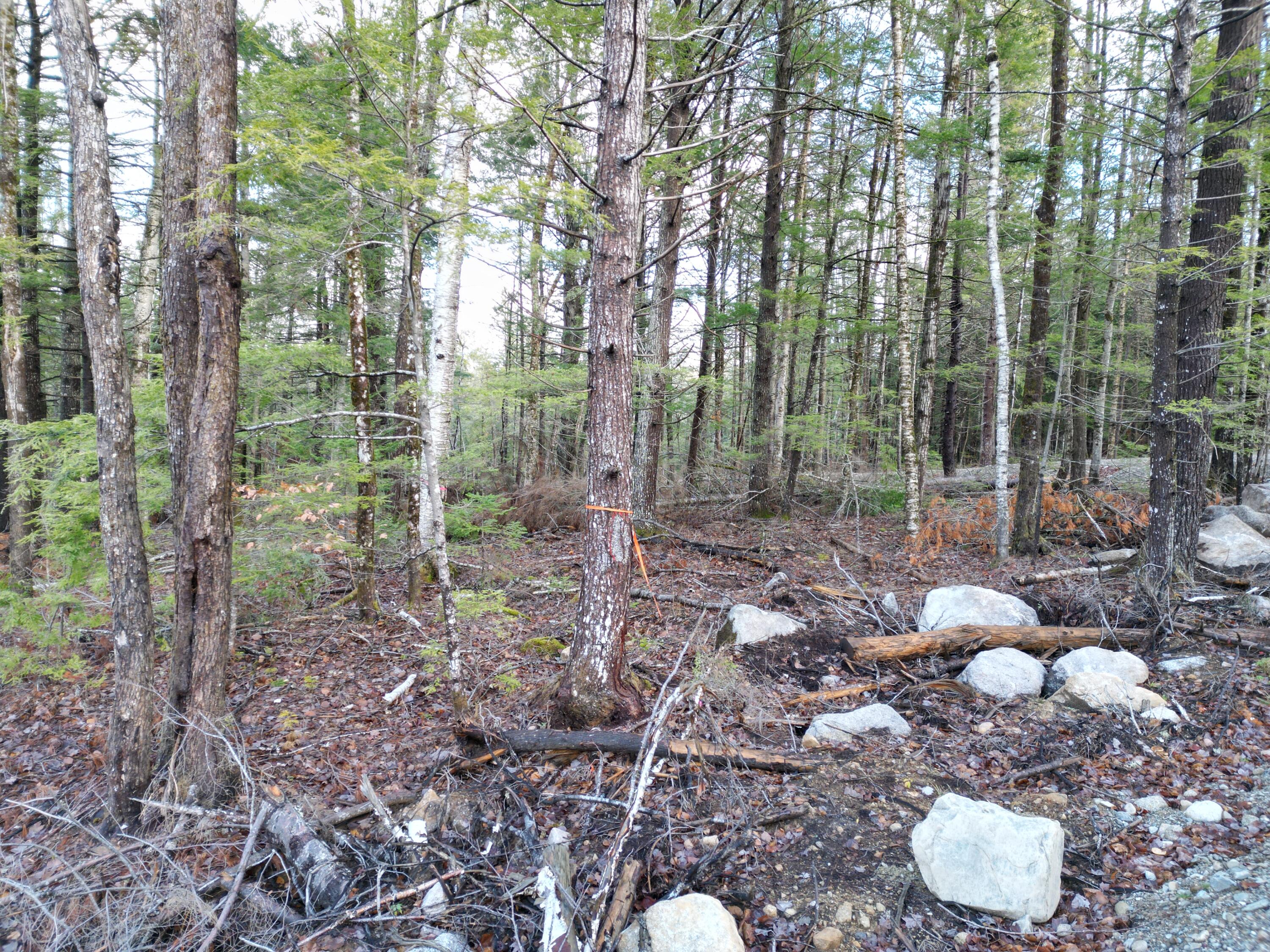 Lot 6 Beaver Cove Lincoln ME 04457