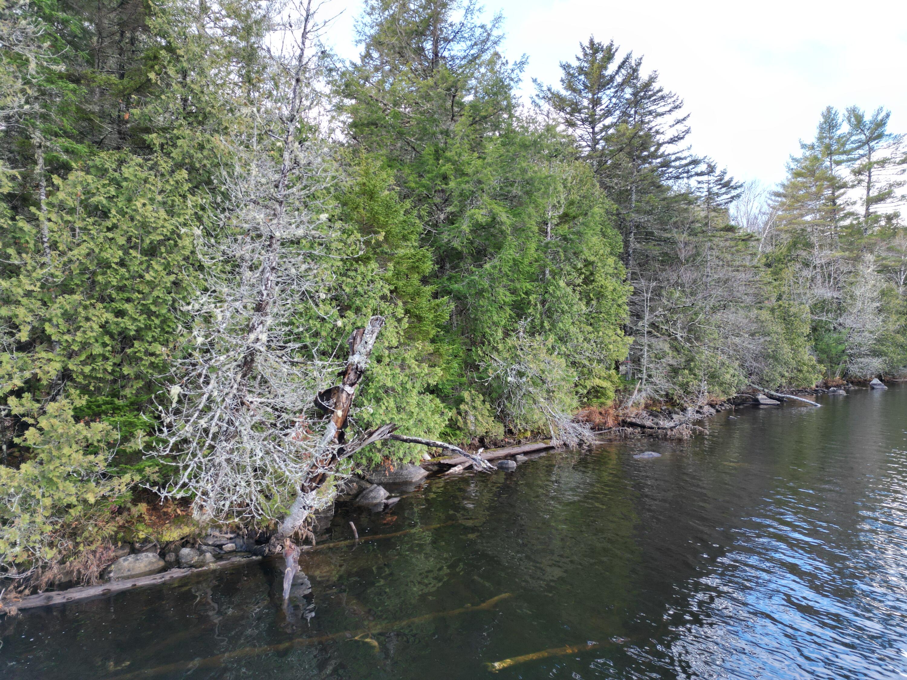 Lot 6 Beaver Cove Lincoln ME 04457