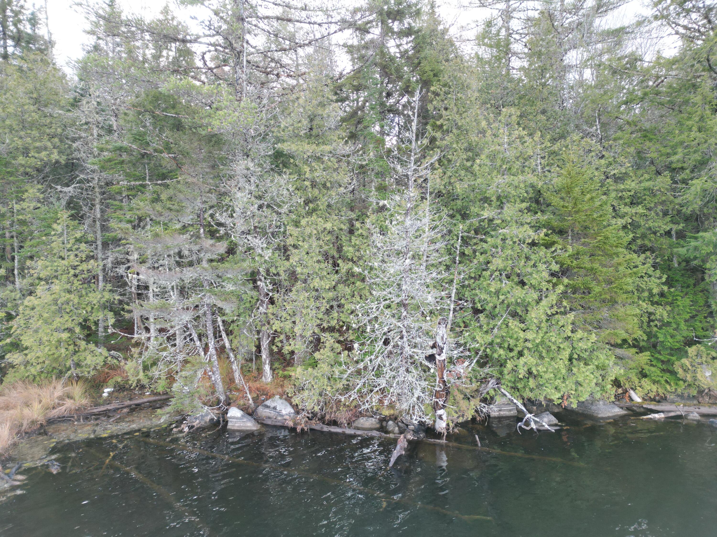Lot 6 Beaver Cove Lincoln ME 04457