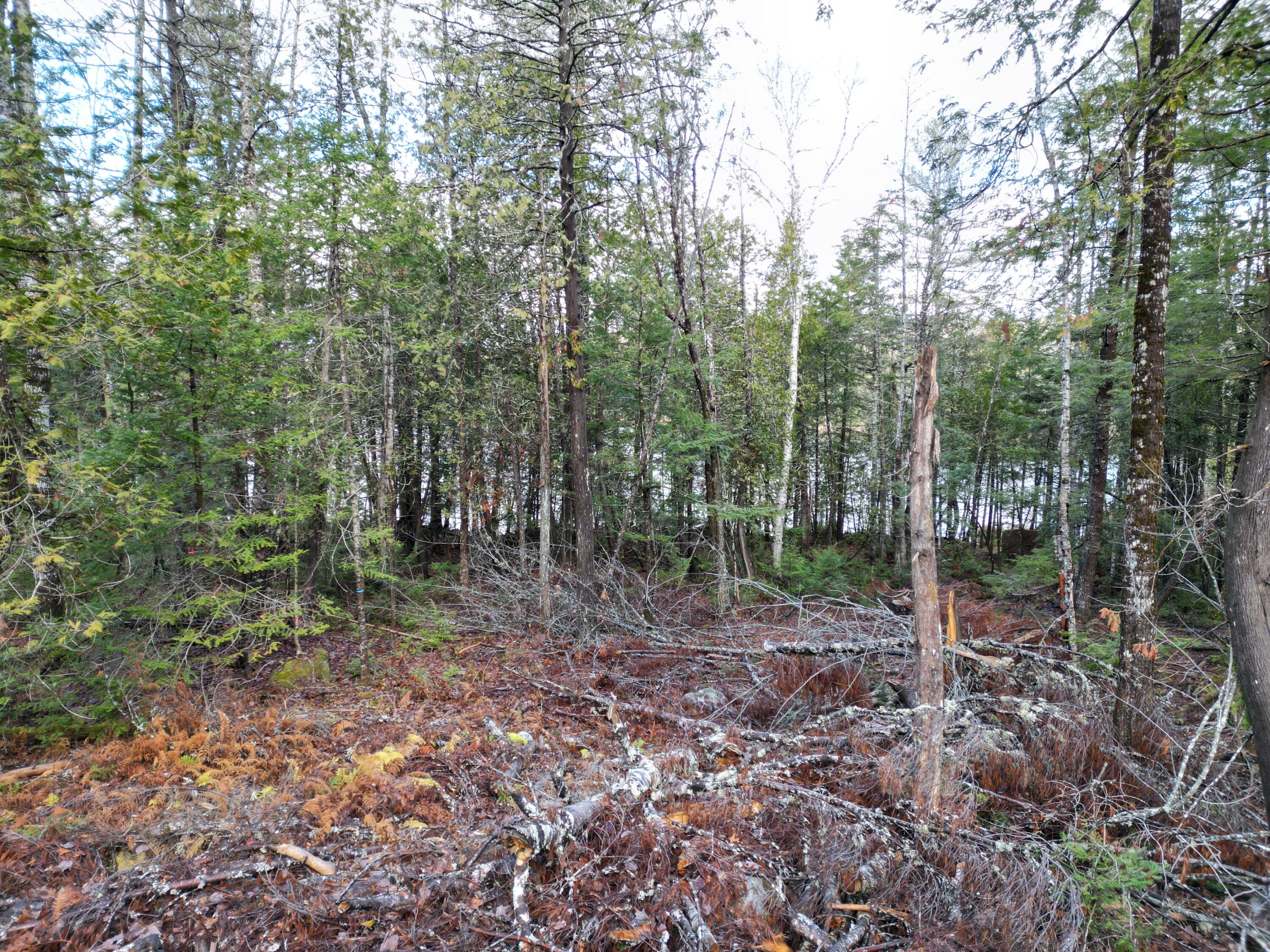 Lot 6 Beaver Cove Lincoln ME 04457