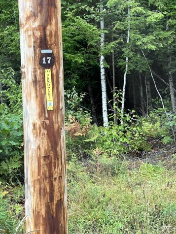 30 Moose Trail Waltham ME 04605