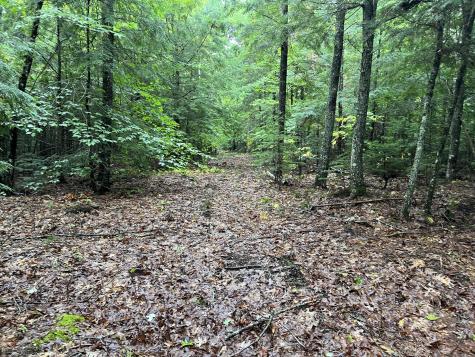 30 Moose Trail Waltham ME 04605