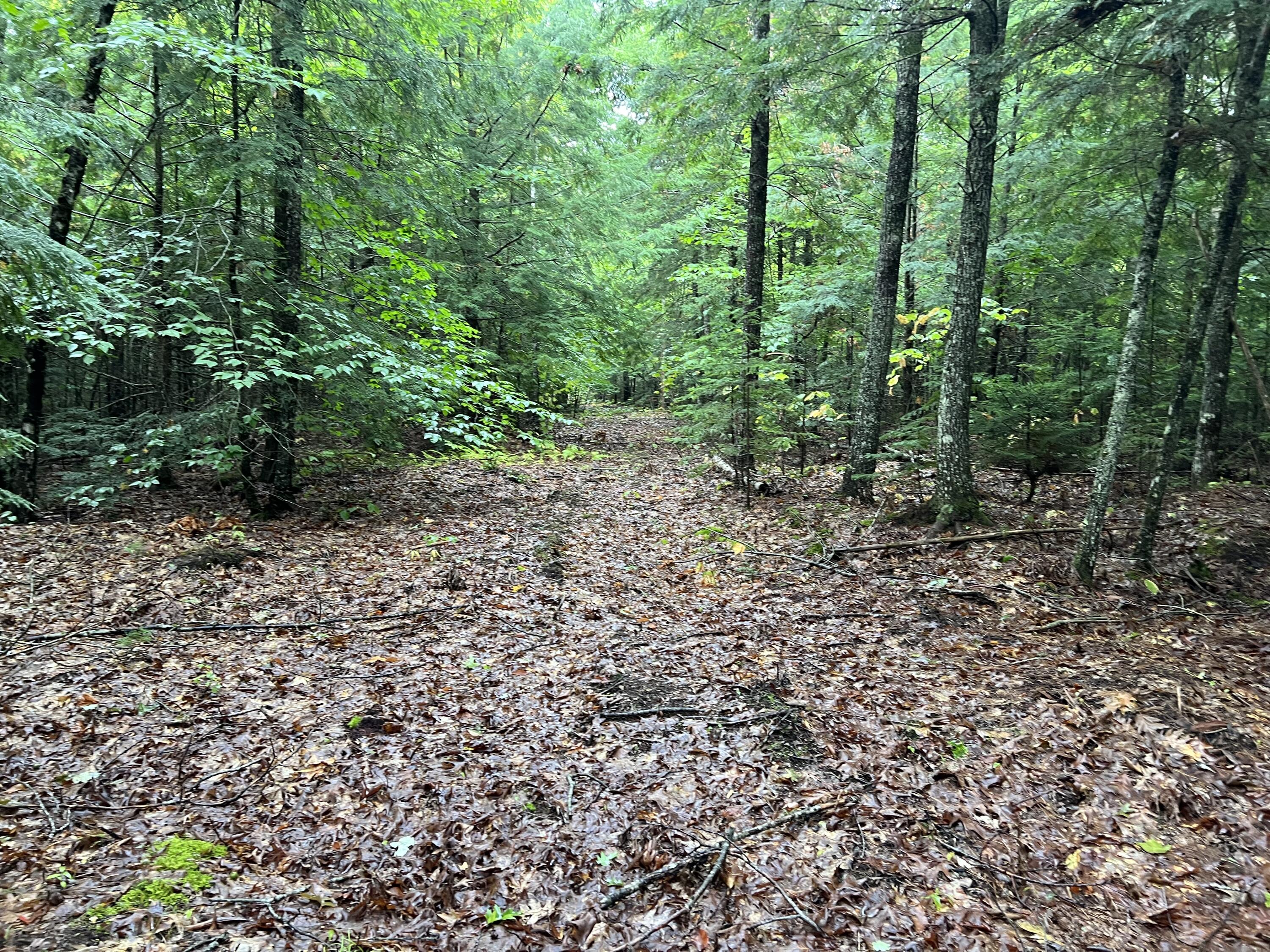 30 Moose Trail Waltham ME 04605