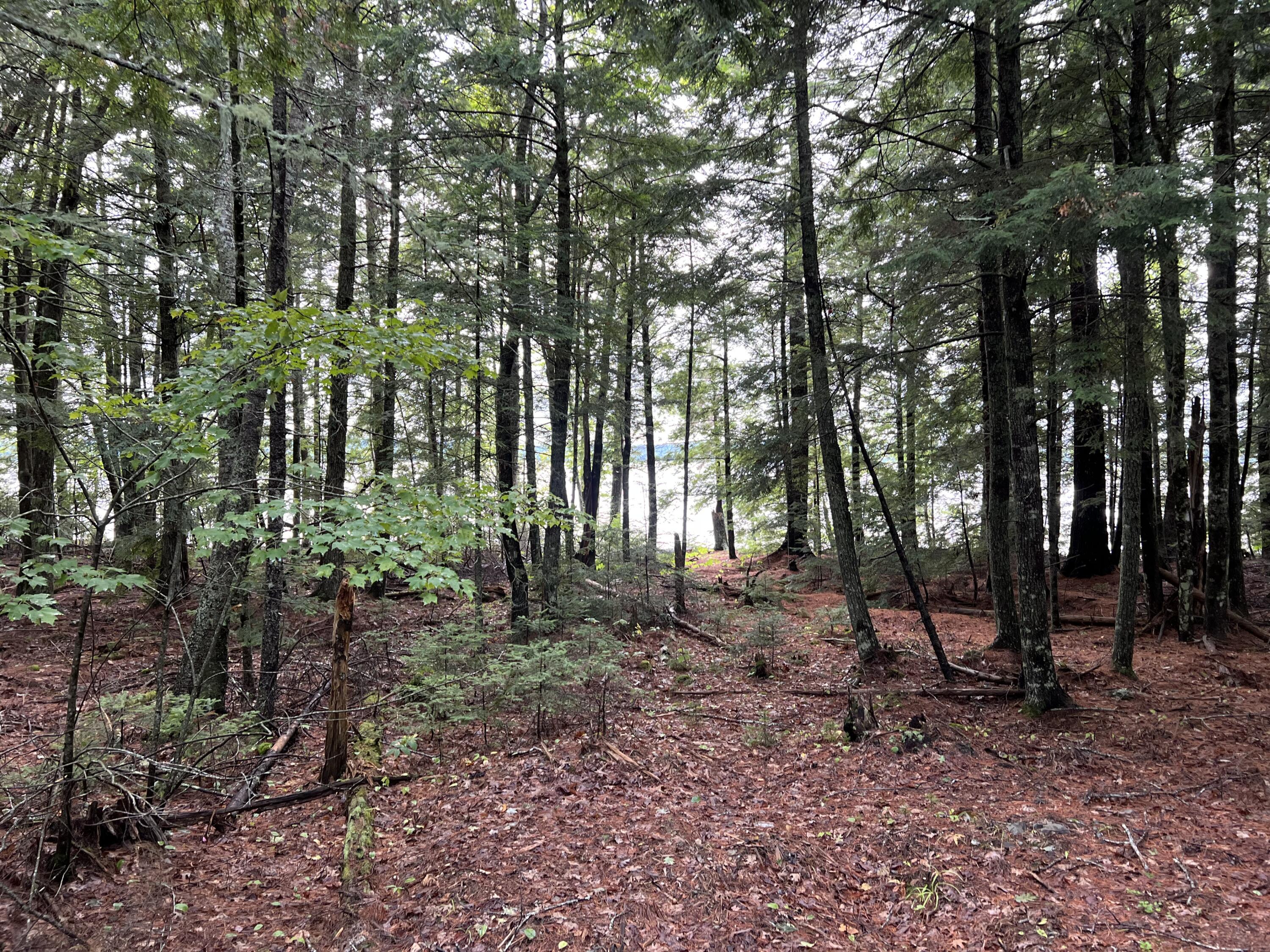 30 Moose Trail Waltham ME 04605