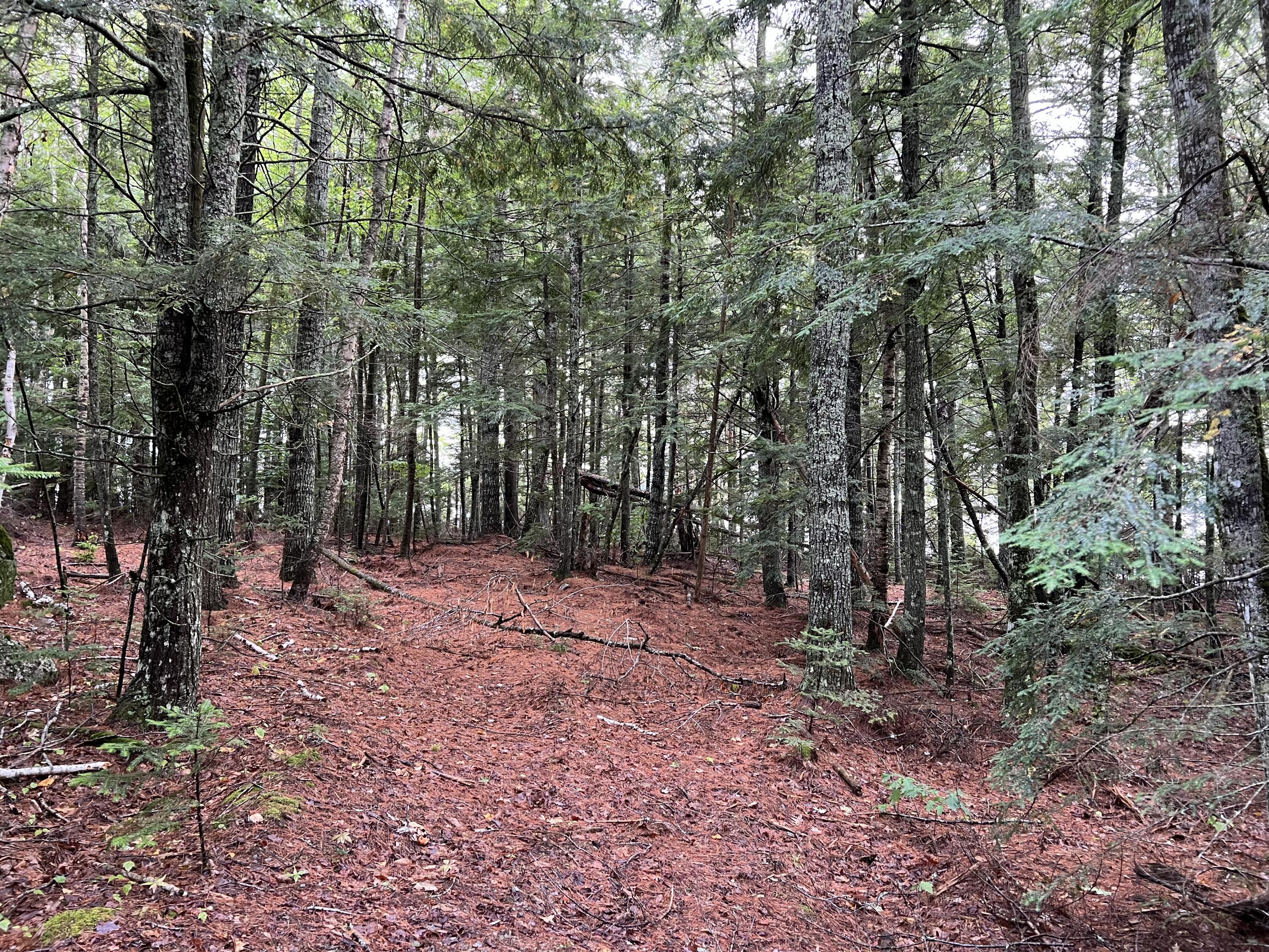 30 Moose Trail Waltham ME 04605