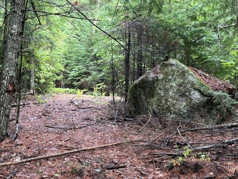 30 Moose Trail Waltham ME 04605