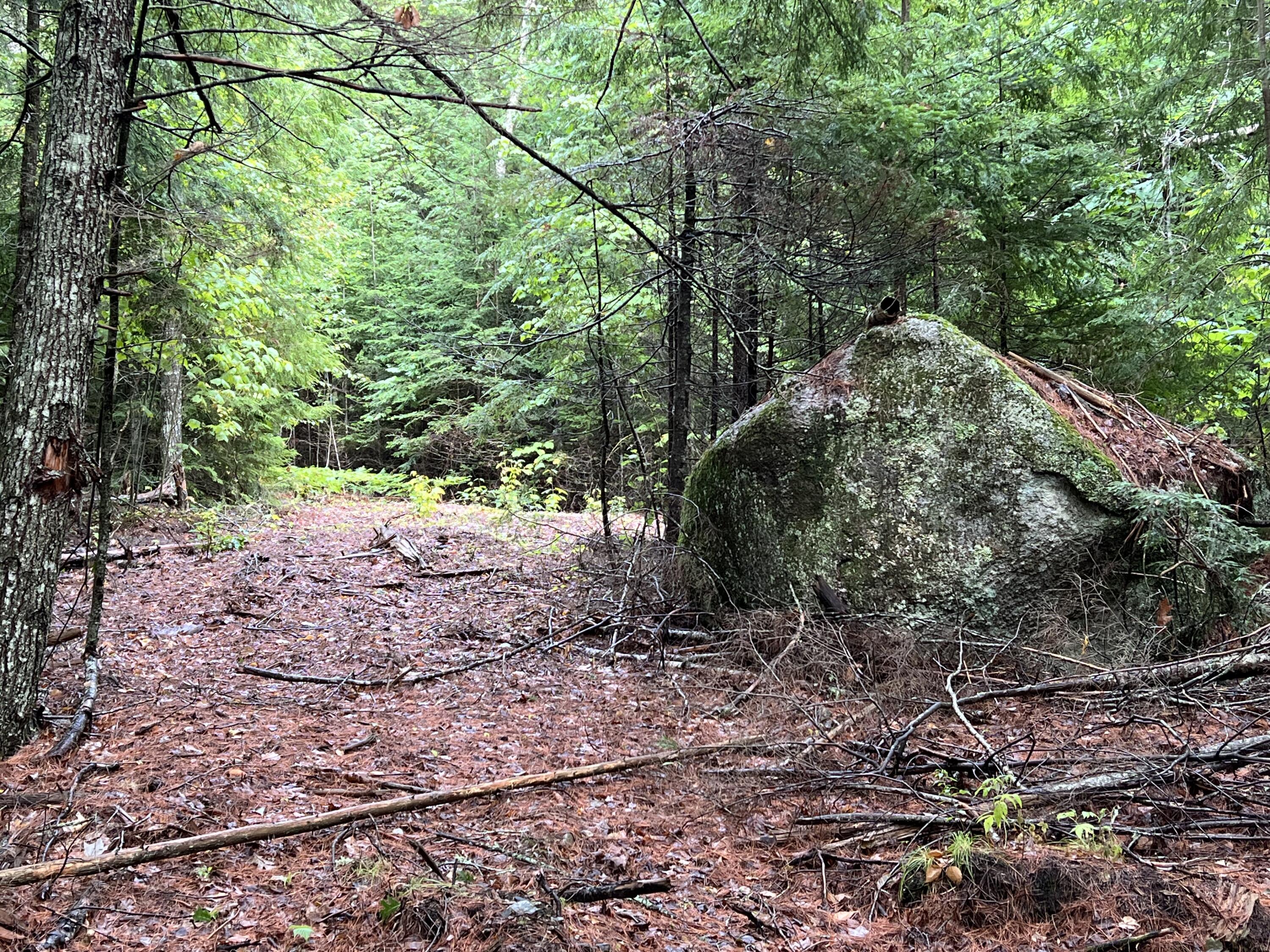 30 Moose Trail Waltham ME 04605