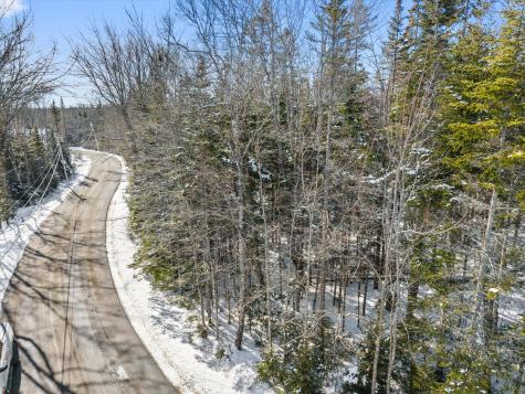 Lot #059 Paul Bunyan Road Gouldsboro ME 04624