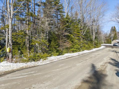 Lot #059 Paul Bunyan Road Gouldsboro ME 04624