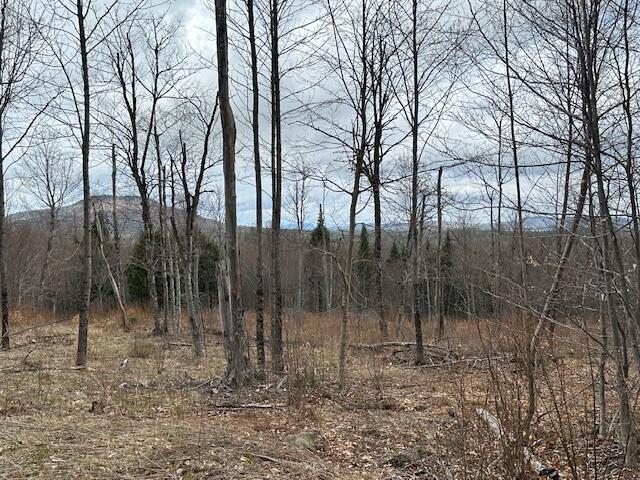 33 Bay View Drive Greenville ME 04441