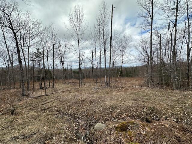 33 Bay View Drive Greenville ME 04441