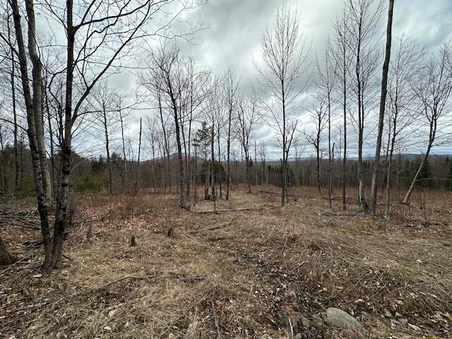 33 Bay View Drive Greenville ME 04441