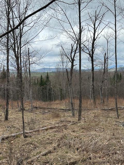 33 Bay View Drive Greenville ME 04441