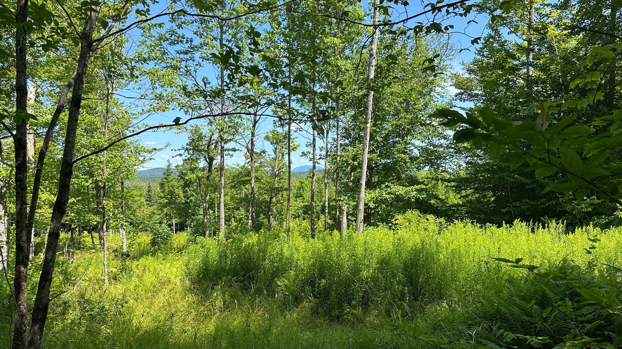 33 Bay View Drive Greenville ME 04441