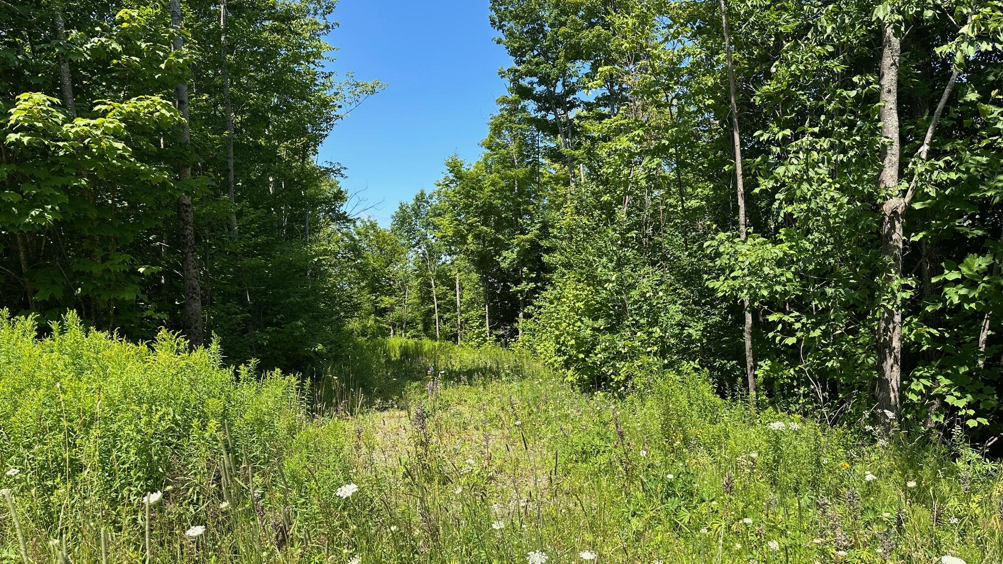 33 Bay View Drive Greenville ME 04441