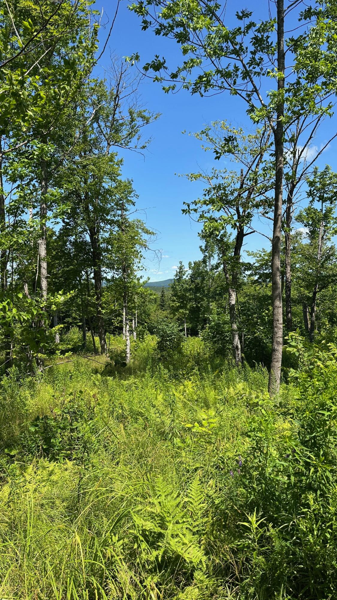 33 Bay View Drive Greenville ME 04441