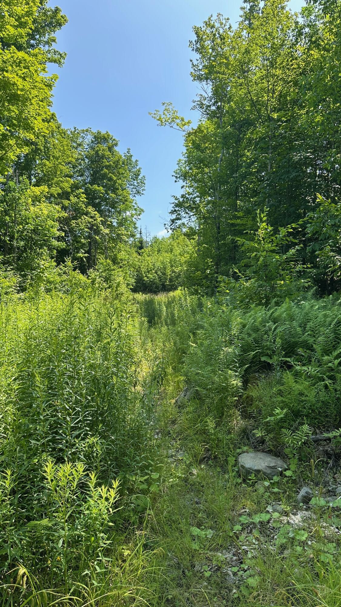 33 Bay View Drive Greenville ME 04441