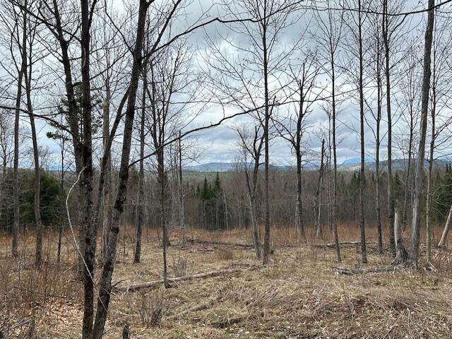 33 Bay View Drive Greenville ME 04441