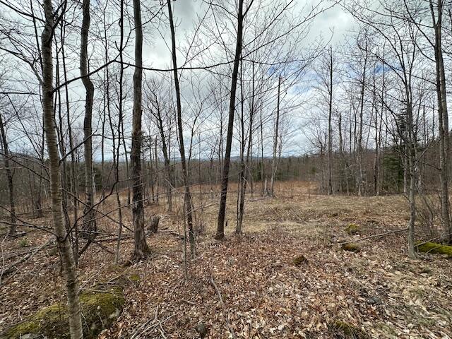 33 Bay View Drive Greenville ME 04441