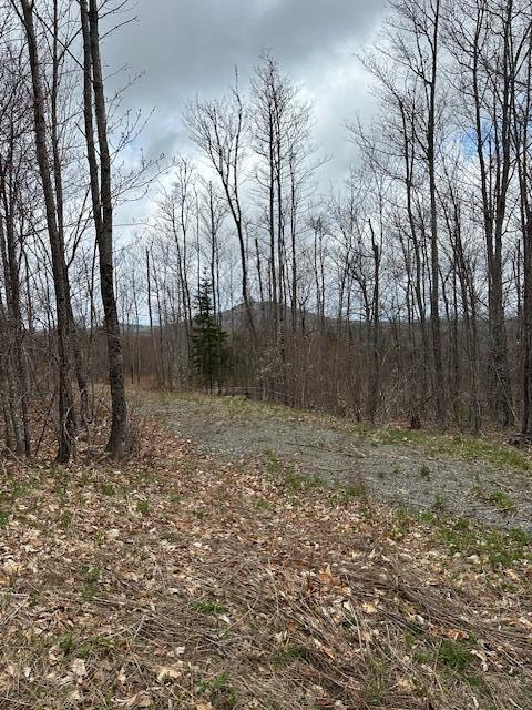 33 Bay View Drive Greenville ME 04441