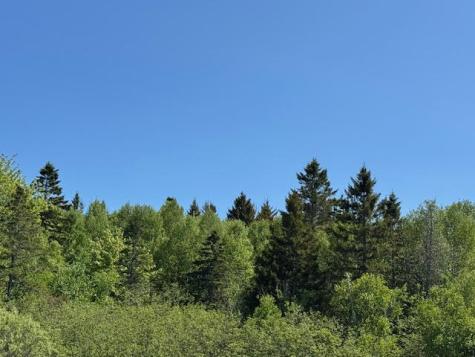 104 County Road Eastport ME 04631