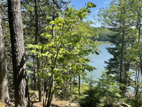13 Porcupine Lane Westport Island ME 04578