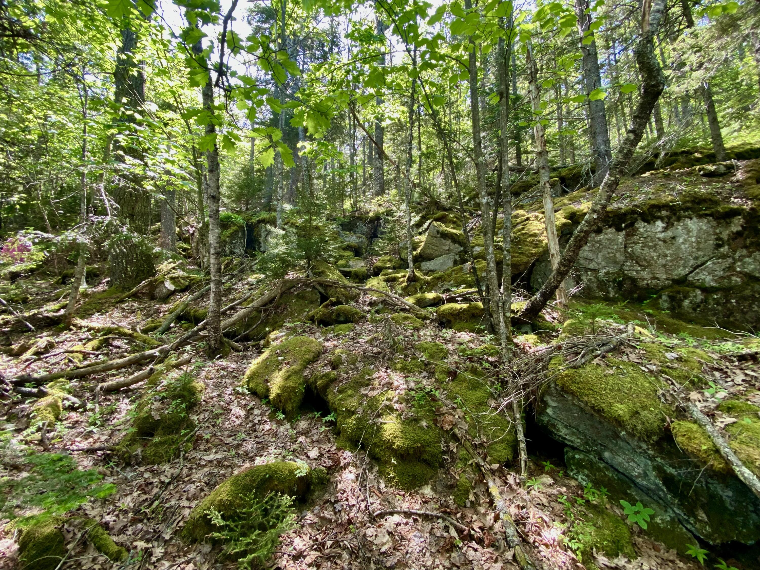 13 Porcupine Lane Westport Island ME 04578