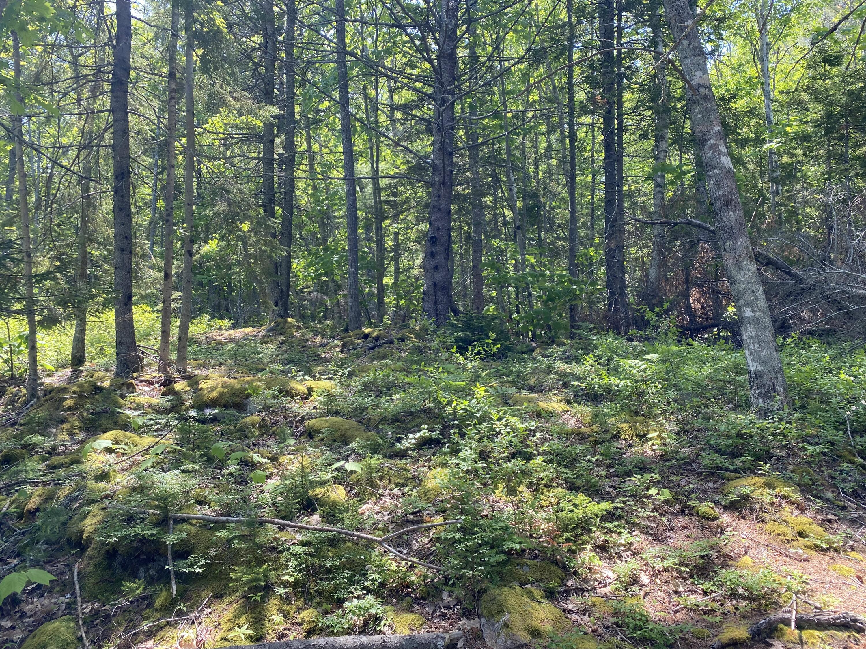 13 Porcupine Lane Westport Island ME 04578