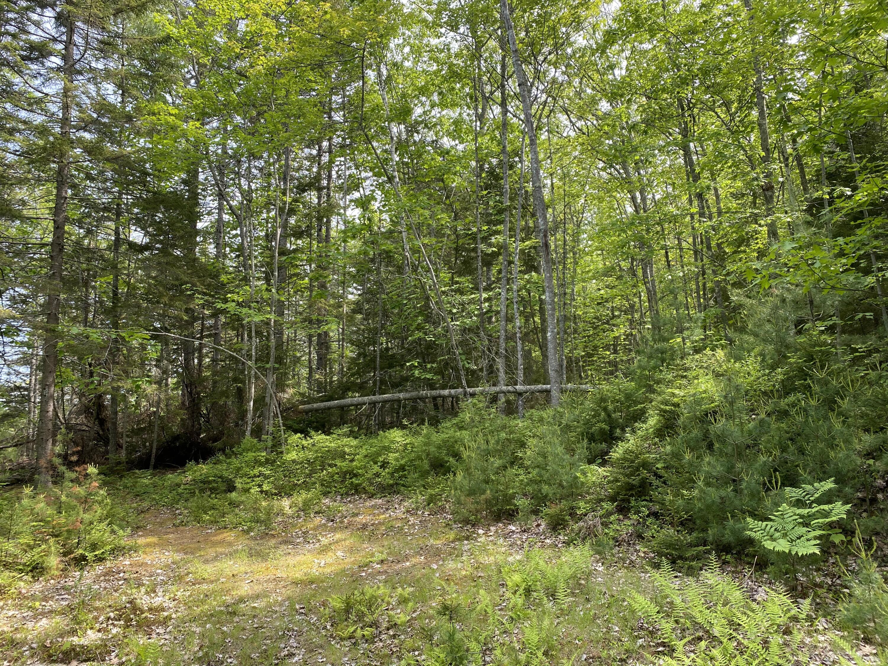 13 Porcupine Lane Westport Island ME 04578