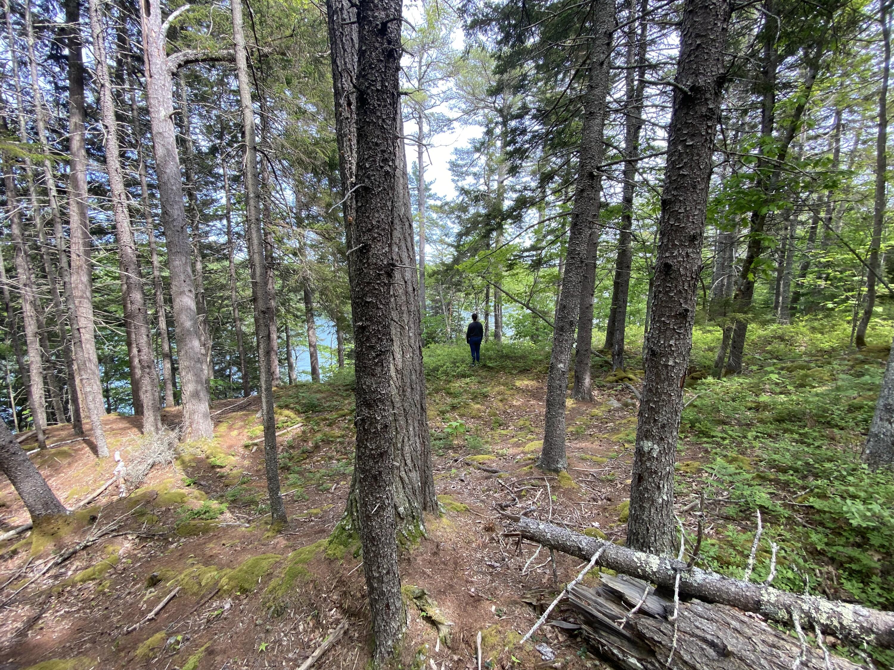 13 Porcupine Lane Westport Island ME 04578