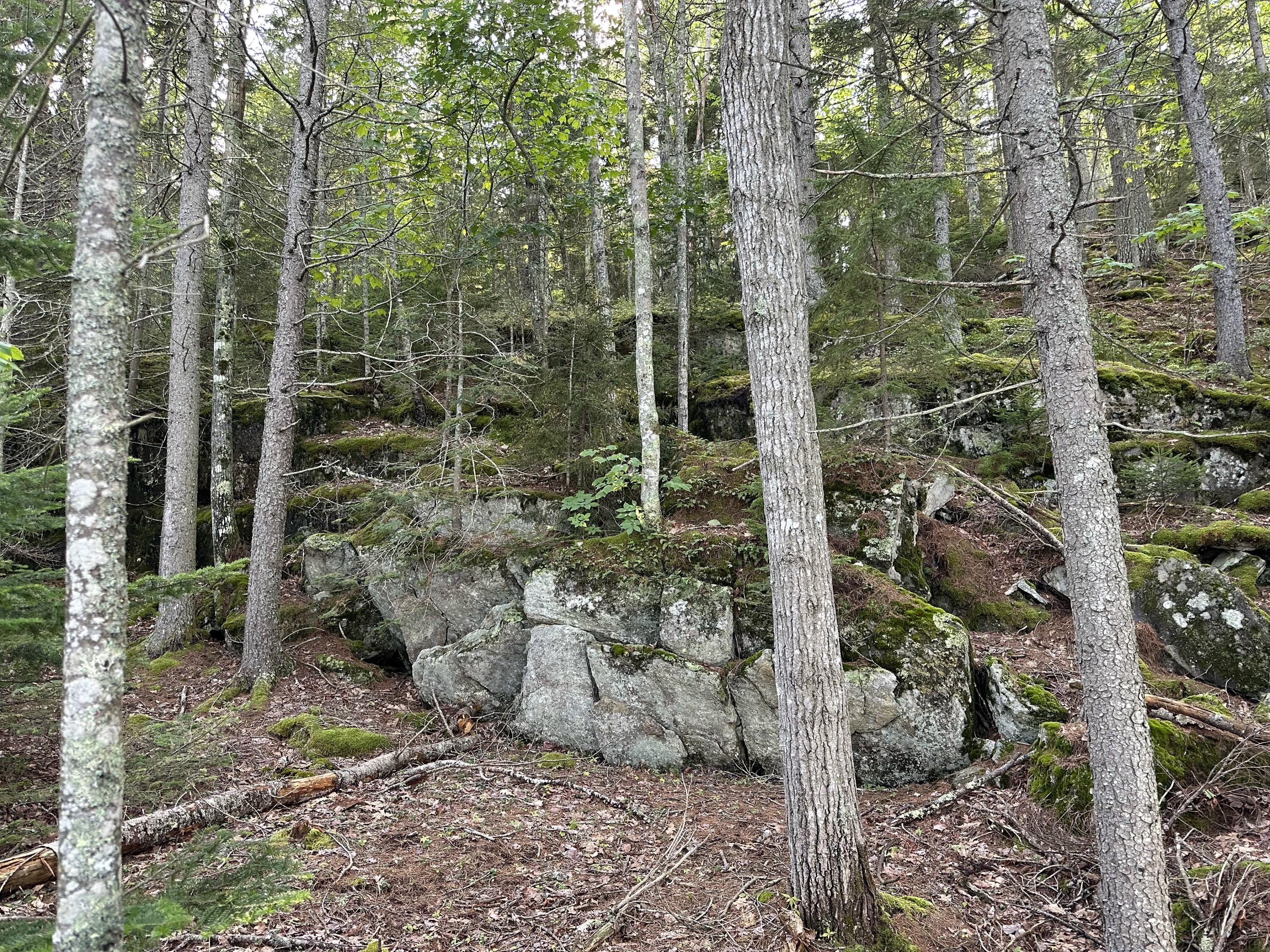 13 Porcupine Lane Westport Island ME 04578