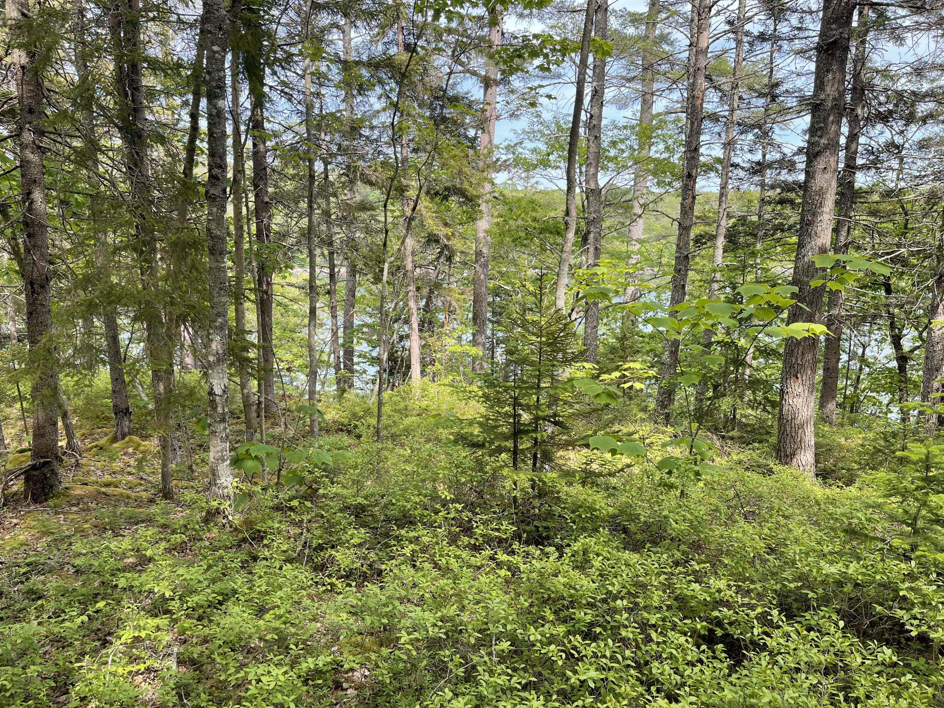 13 Porcupine Lane Westport Island ME 04578