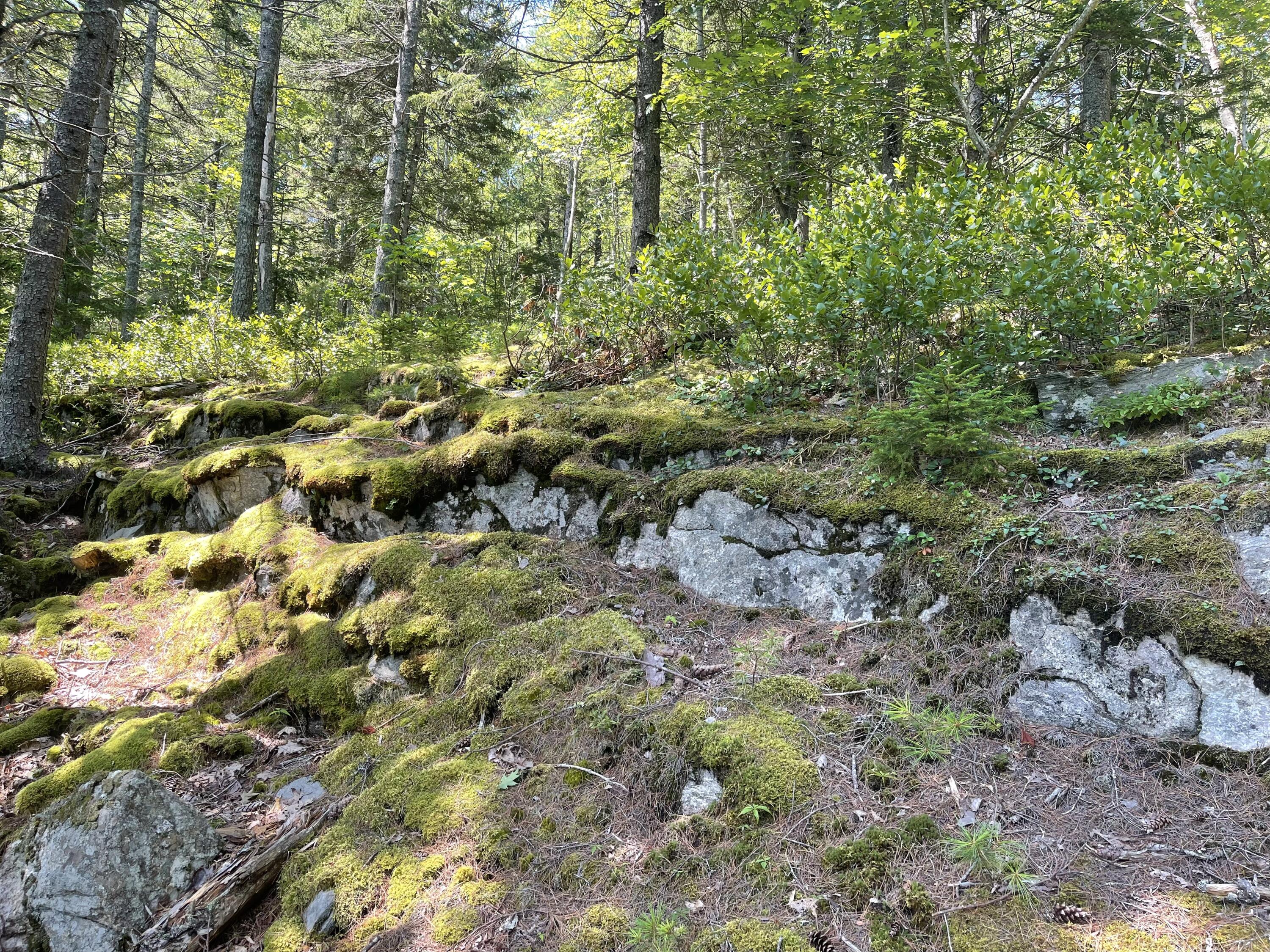 13 Porcupine Lane Westport Island ME 04578